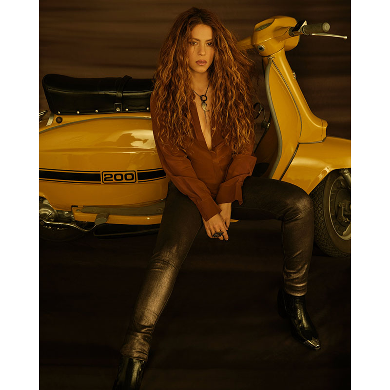 Πίνακας σε καμβά Shakira 2
